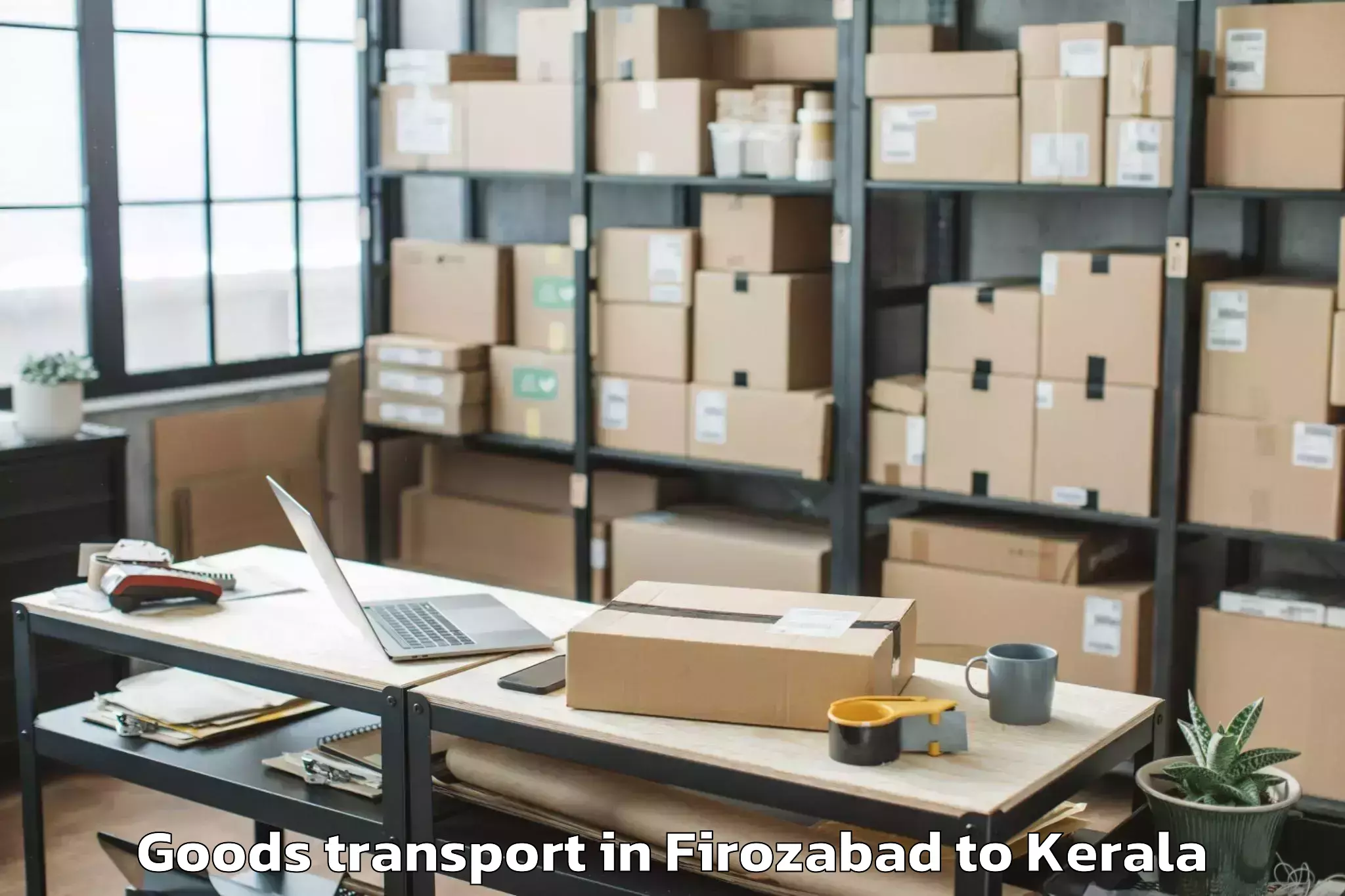 Professional Firozabad to Pandalam Goods Transport